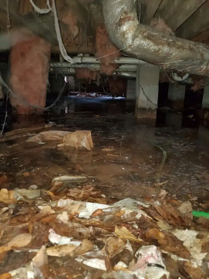 Crawl space flood assessment for Commercial Water Damage Restoration in Cheltenham