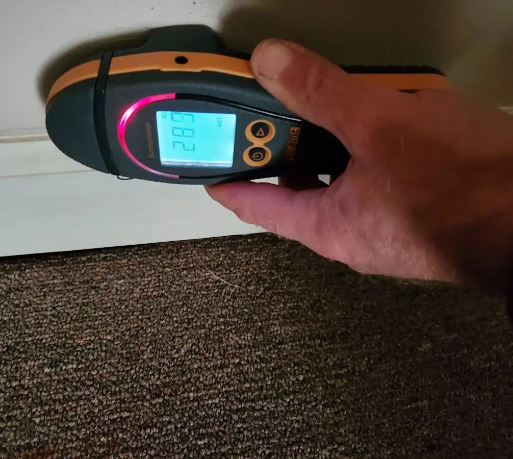 Moisture detection at baseboard during Sewage Cleanup & Sanitation in Cheltenham